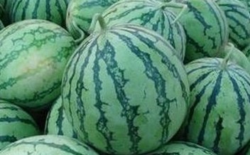 �����Ծ�