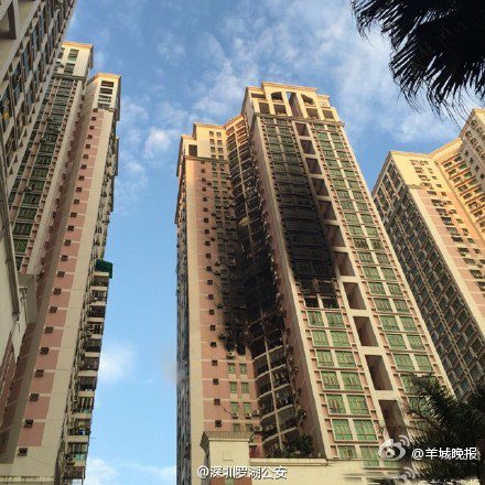 ���ڻ�ĺ�Ĉ���