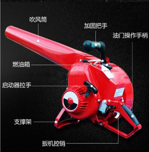 �L�����C