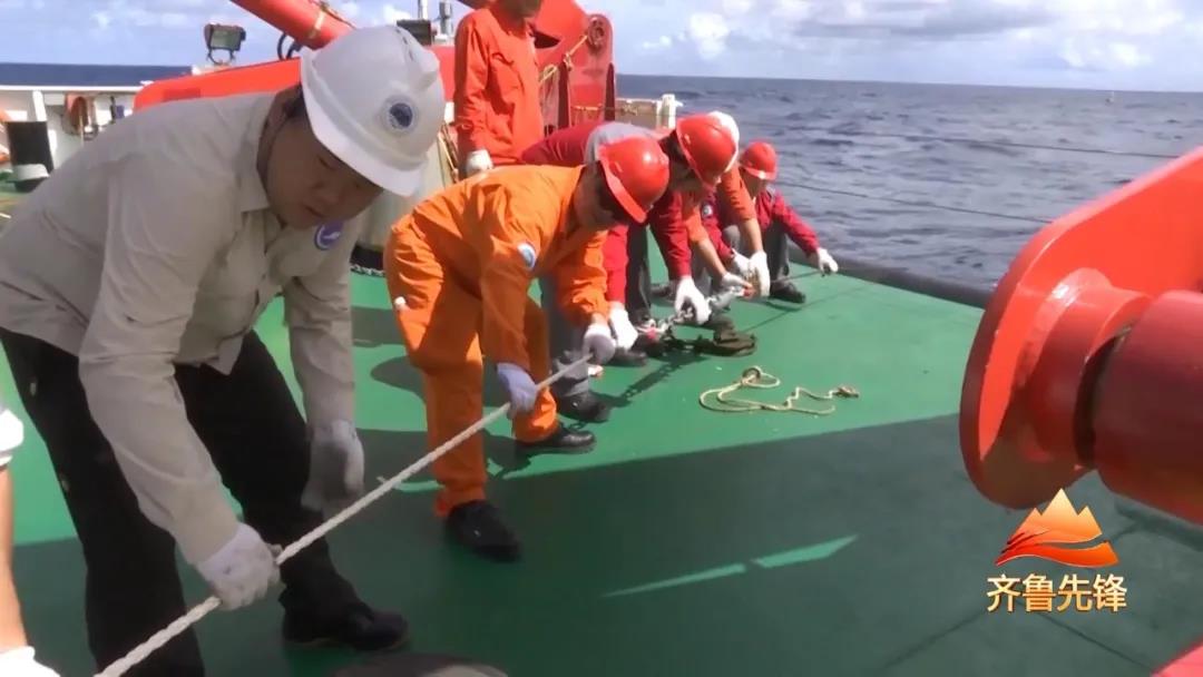 青島海麗雅集團