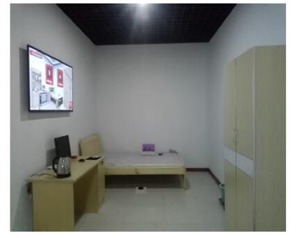 �P���[���Ų�ϵ�y