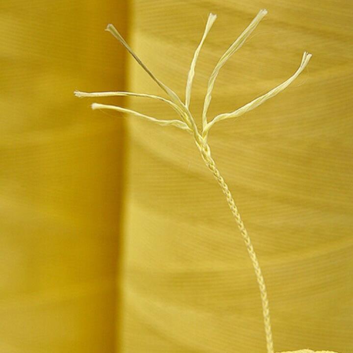 �P�����L�~��