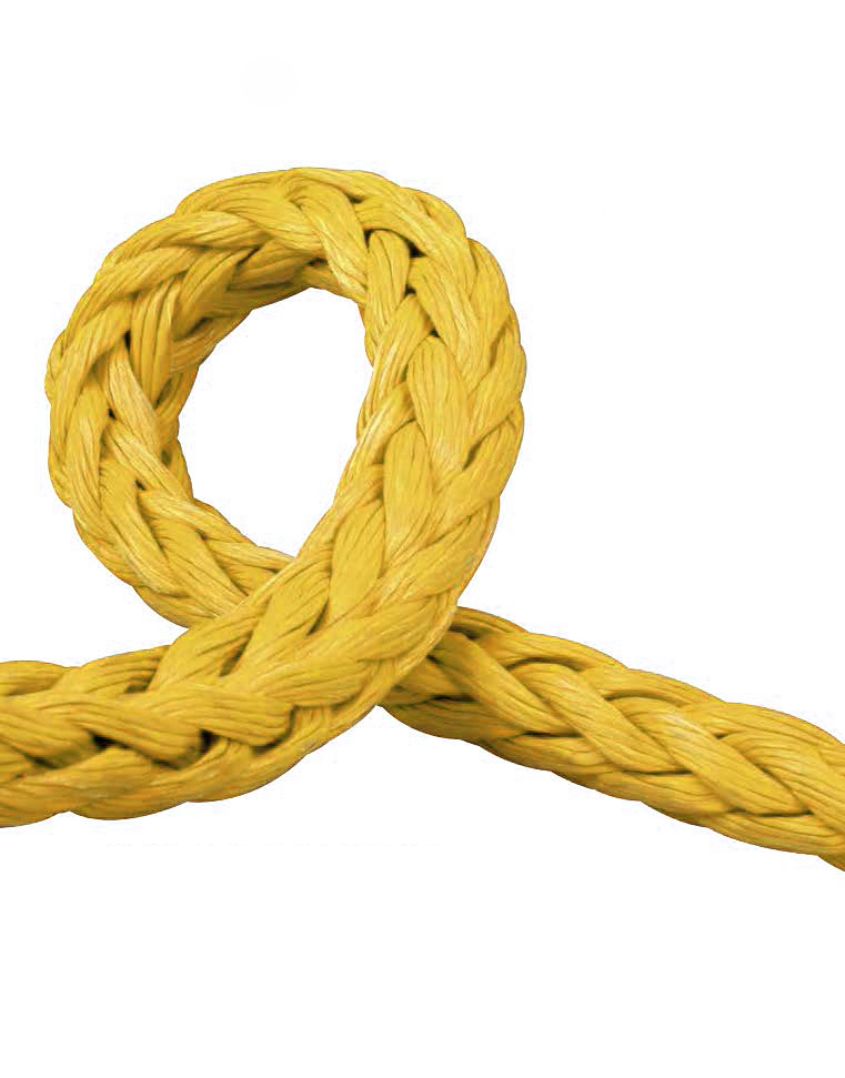 �����|�K���l(f��)