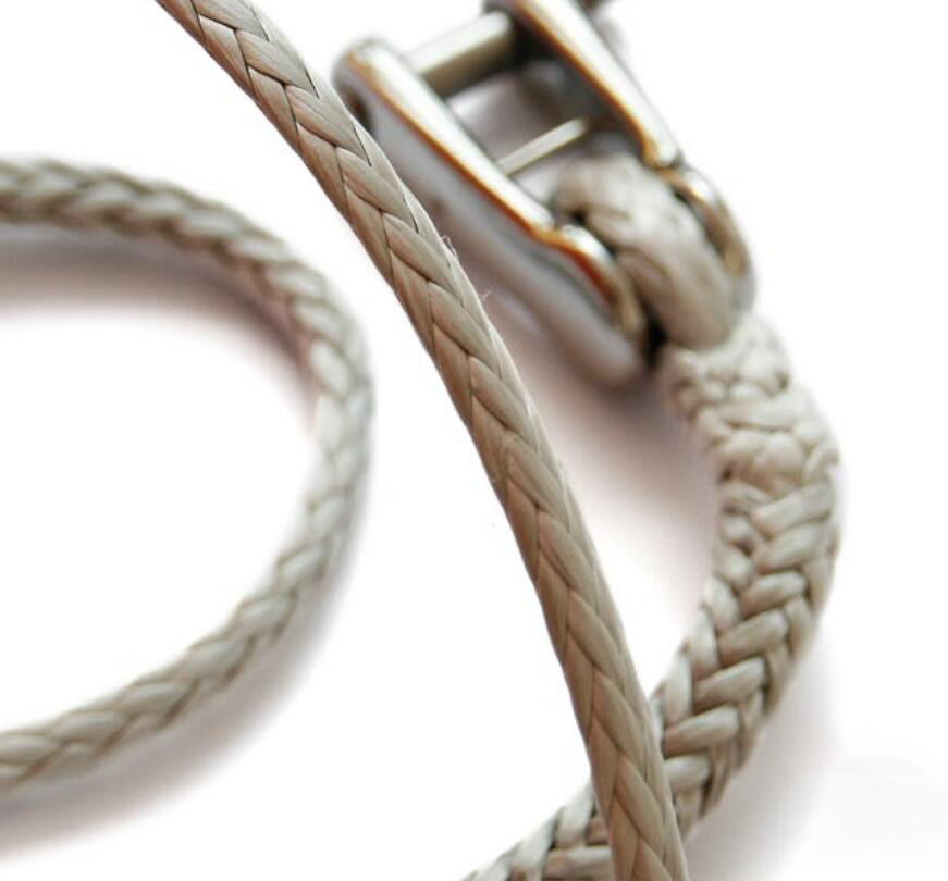 �w�S�|�K�ľ�����