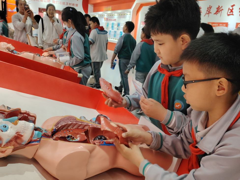 紅十字應急救護培訓基地